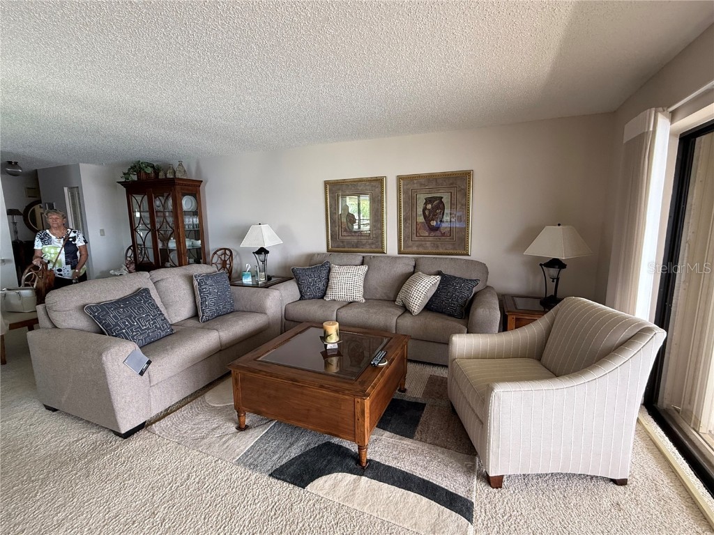 135 1st Street E #205 Tierra Verde FL 33715 - TAMPA BAY TB8414048 image13