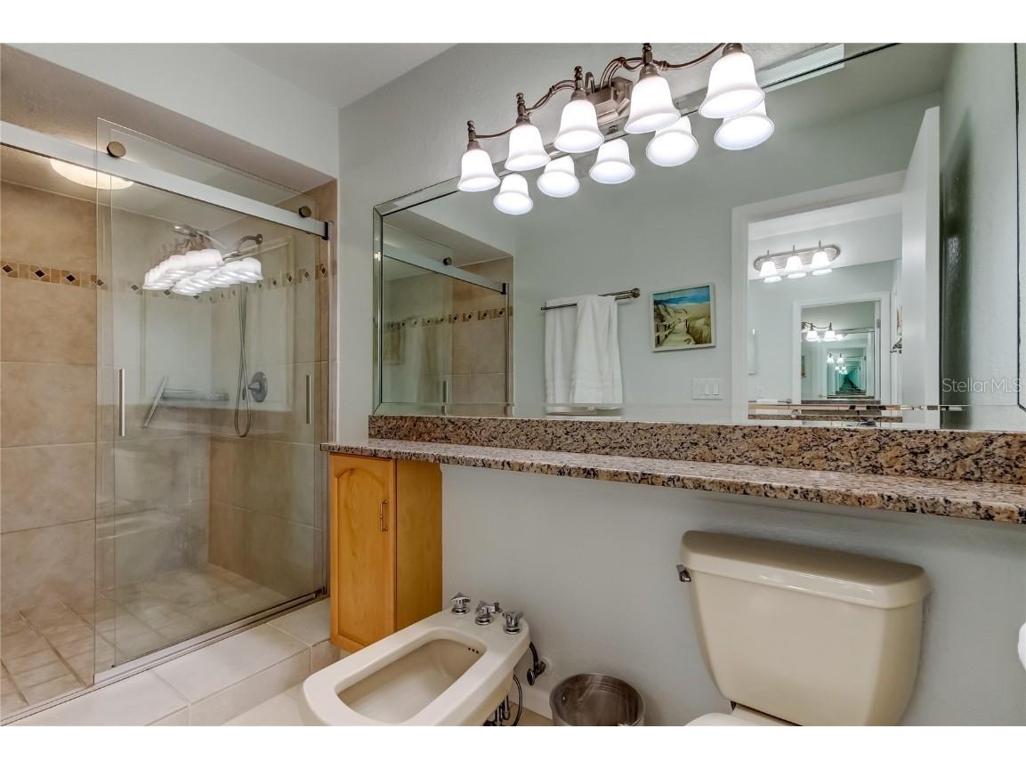 135 92nd Avenue #5 Treasure Island FL 33706 TB8404556 image28