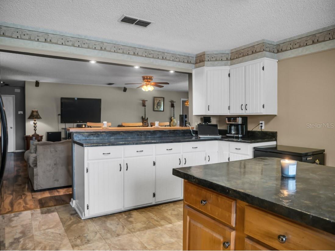 135 Ashley Lake Drive Melrose FL 32666 A4678375 image11