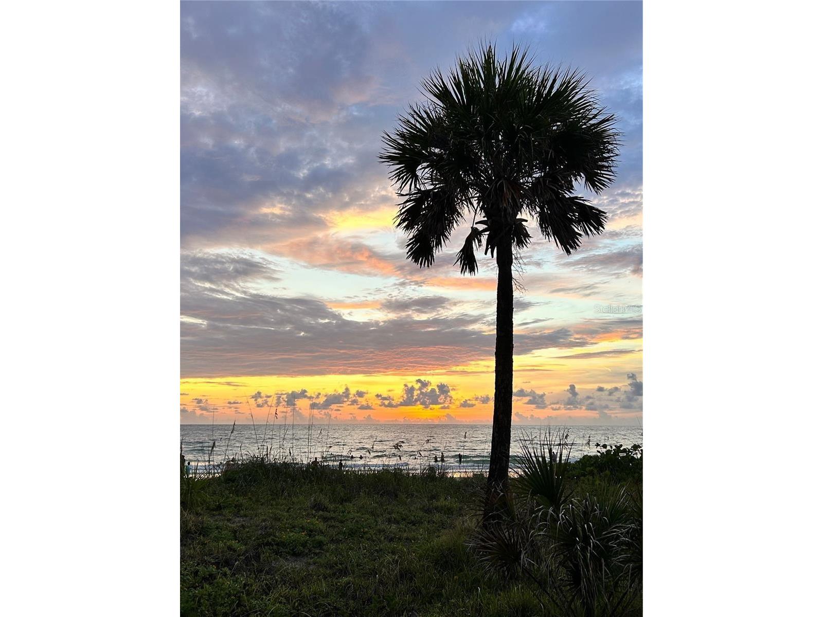 135 Bath Club Circle North Redington Beach FL 33708 TB8466569 image39