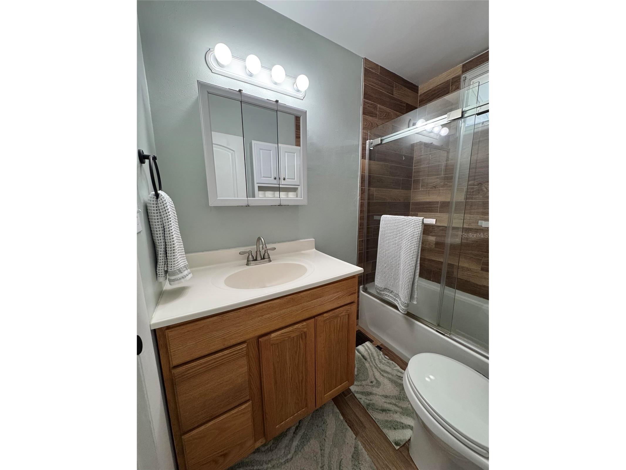 135 Carroll Street Clermont FL 34711 O6402225 image11