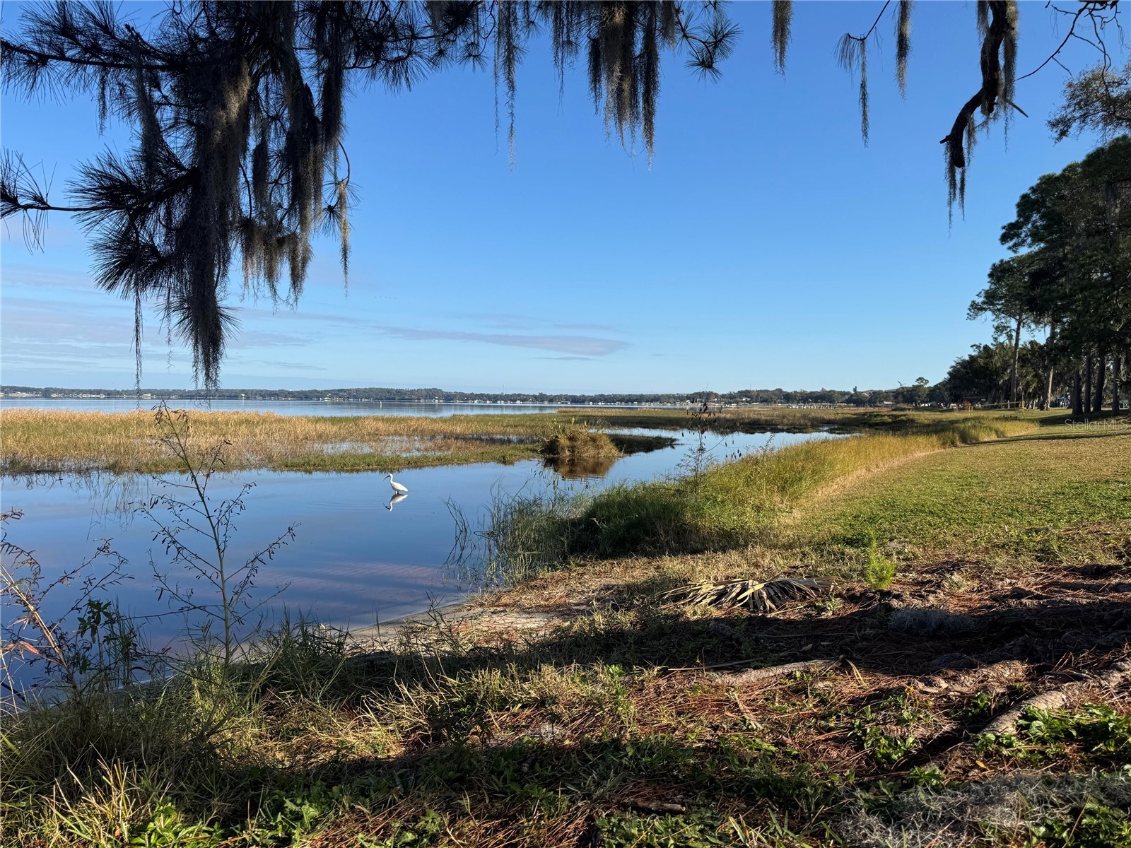 135 Carroll Street Clermont FL 34711 O6402225 image22