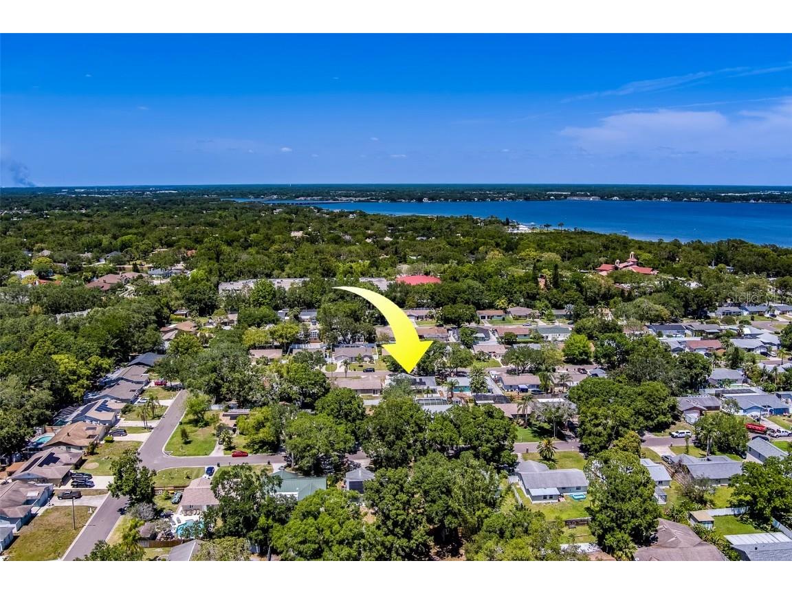 135 Coral Drive Safety Harbor FL 34695 TB8379218 image1