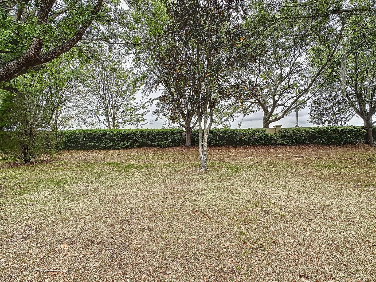 135 Crepe Myrtle Dr Groveland FL 34736 - SCHOOL HOUSE LAKE G5111747 image48