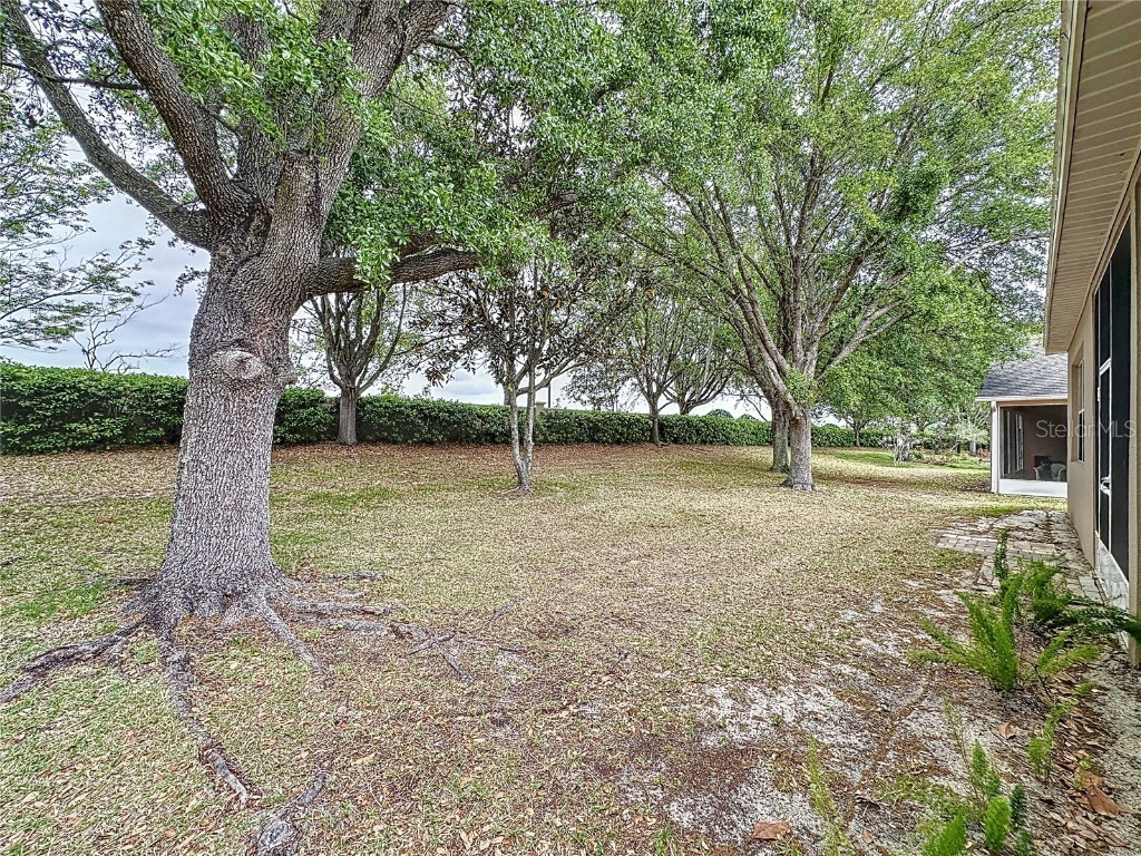 135 Crepe Myrtle Drive Groveland FL 34736 - SCHOOL HOUSE LAKE G5095104 image49