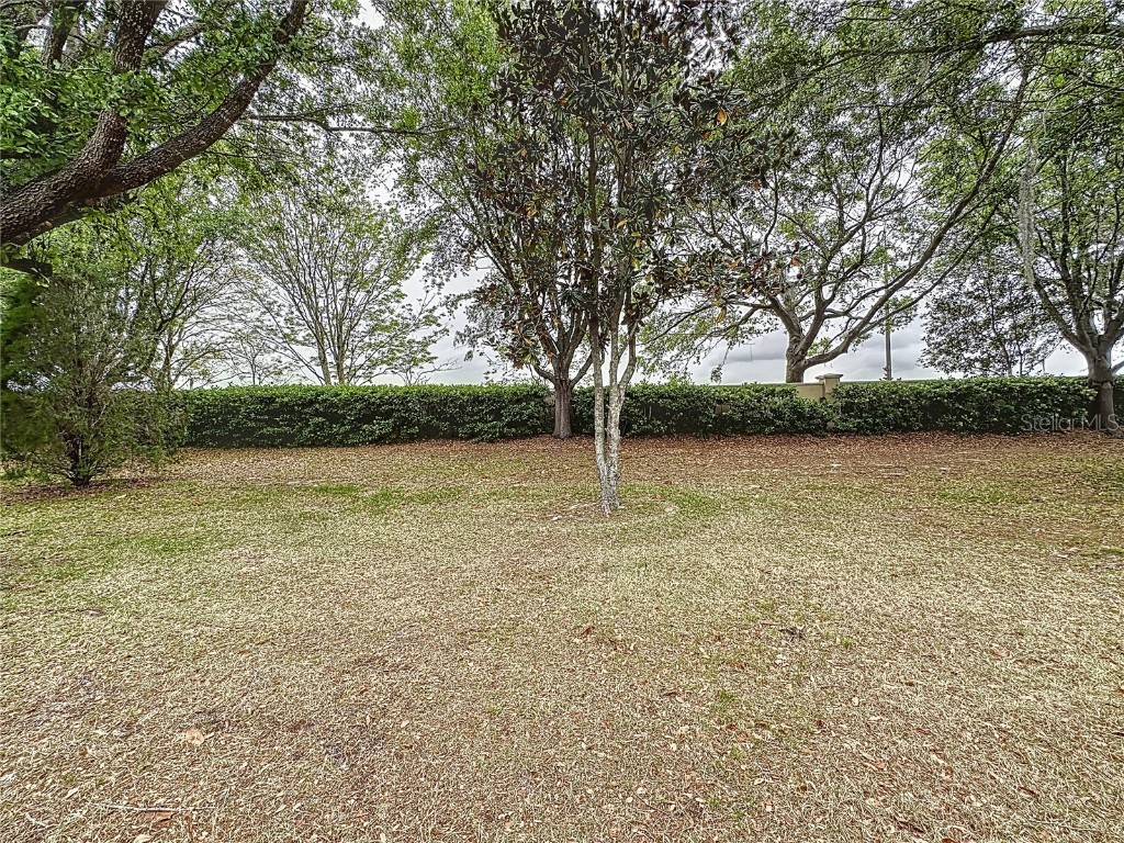 135 Crepe Myrtle Drive Groveland FL 34736 - SCHOOL HOUSE LAKE G5095104 image50