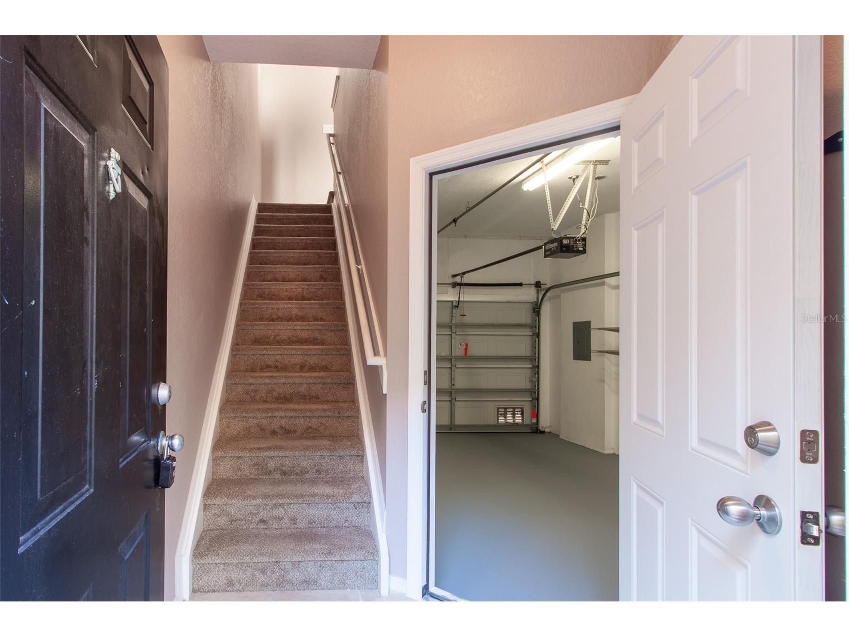 135 Grand Beach Place Tampa FL 33609 TB8503565 image21