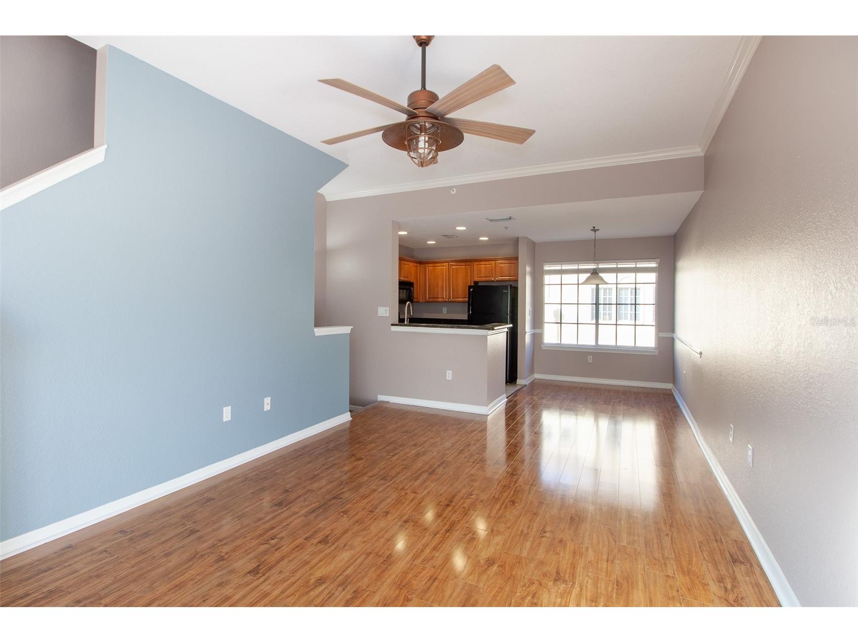 135 Grand Beach Place Tampa FL 33609 TB8503565 image25