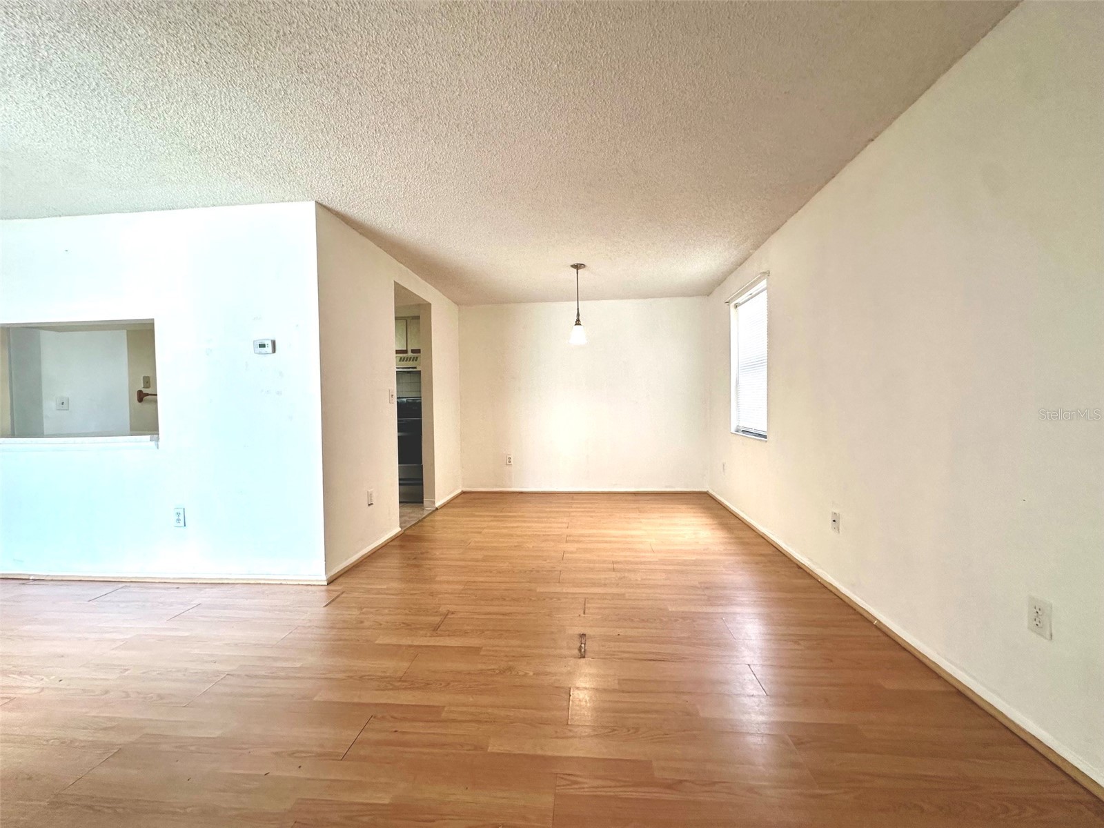 135 Hunter Lake Drive #F Oldsmar FL 34677 TB8527811 image3