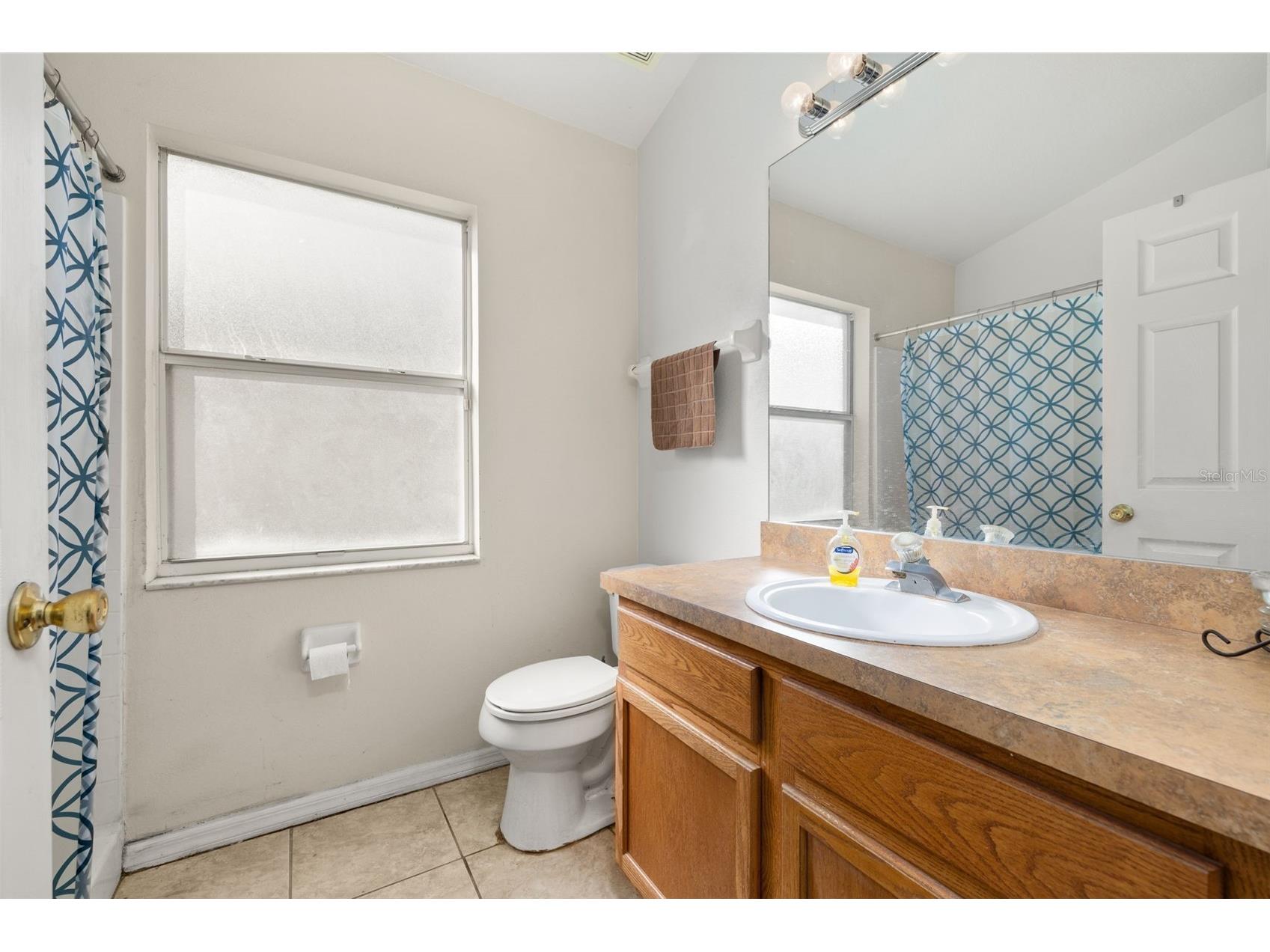 135 Jessamine Drive Davenport FL 33837 S5135563 image22