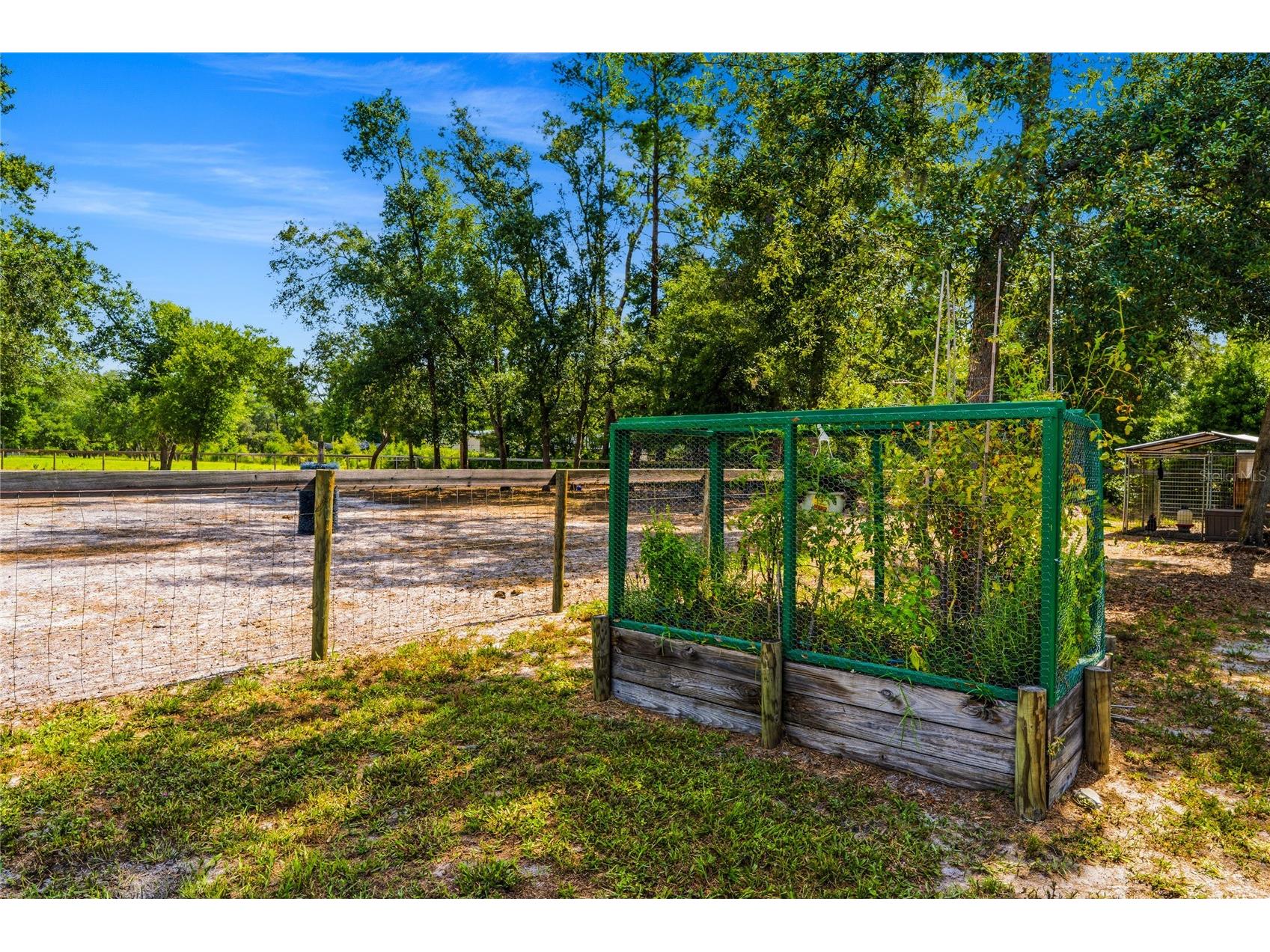 135 Linda Sue Drive Lake Helen FL 32744 V4949539 image29