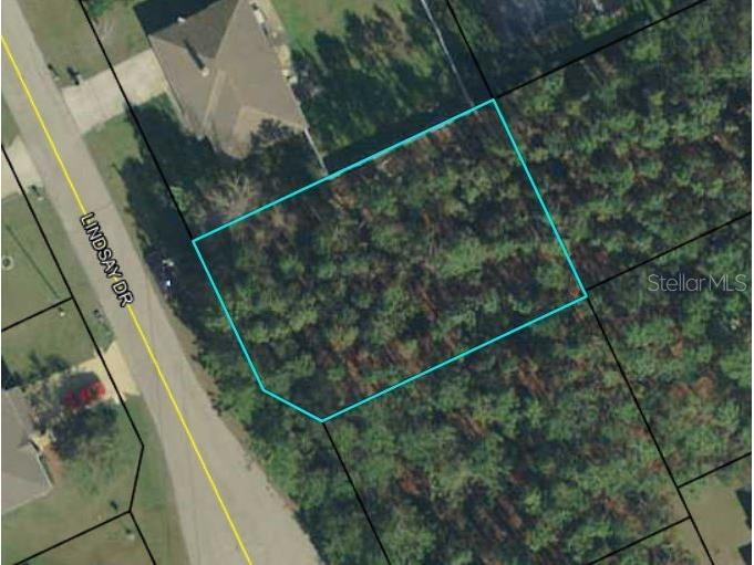 135 Lindsay Drive Palm Coast FL 32137 FC290519 image1