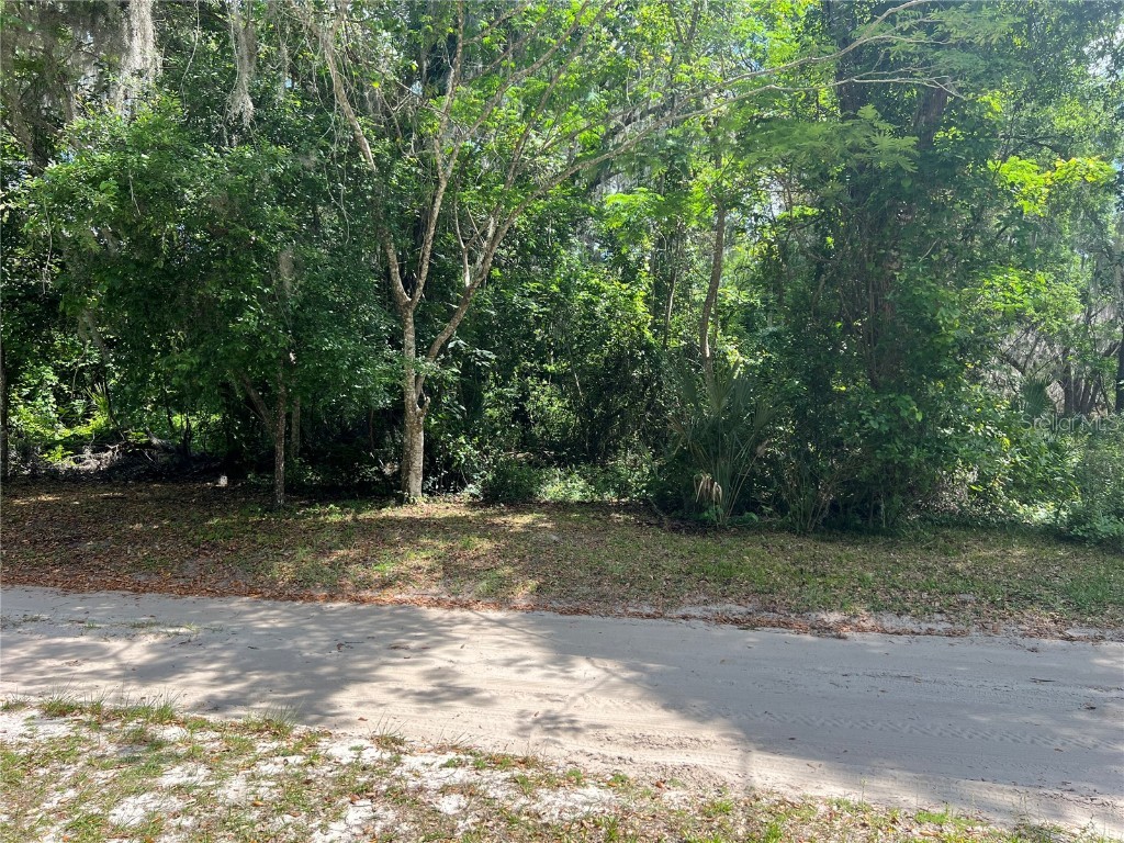 135 Little Orange Lake Drive Hawthorne FL 32640 GC521287 image1