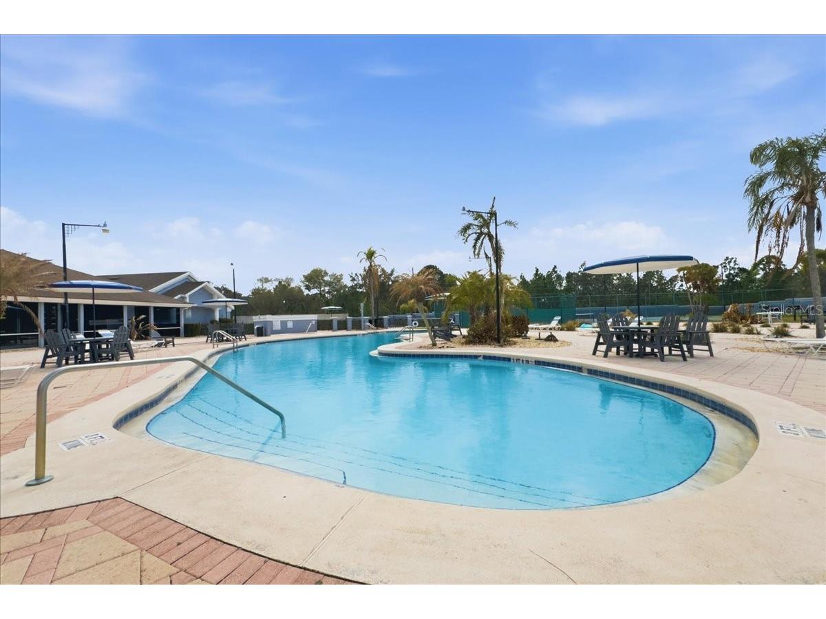 135 Orchid Drive Davenport FL 33897 O6390217 image37