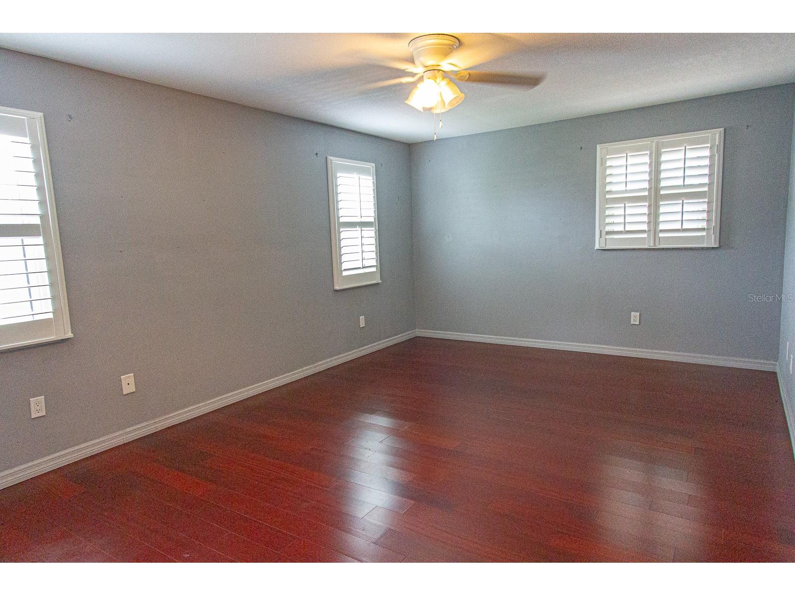 135 Patty Ann Boulevard Palm Harbor FL 34683 TB8516911 image24