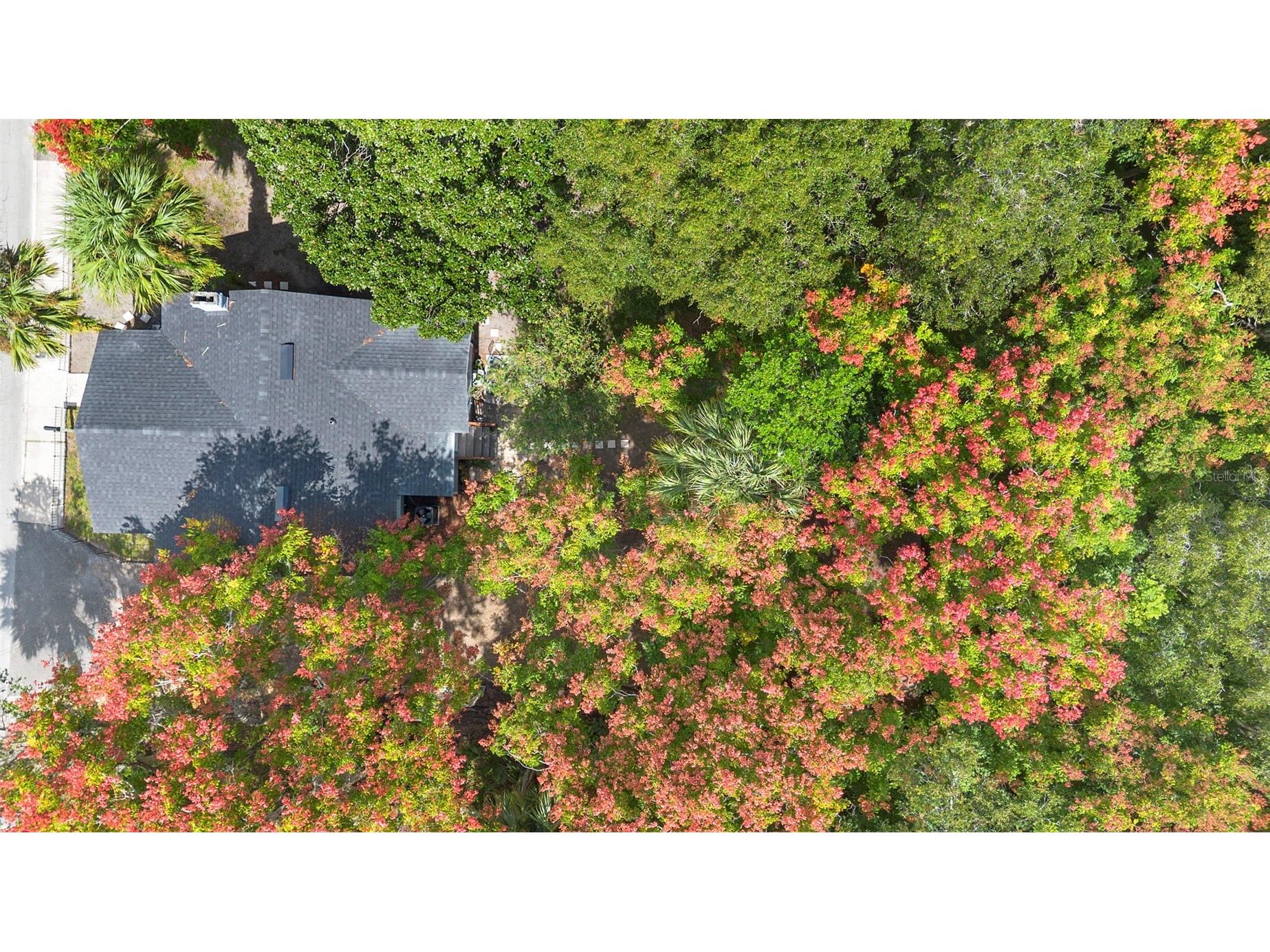 135 S Arlington Avenue Deland FL 32724 V4945463 image33