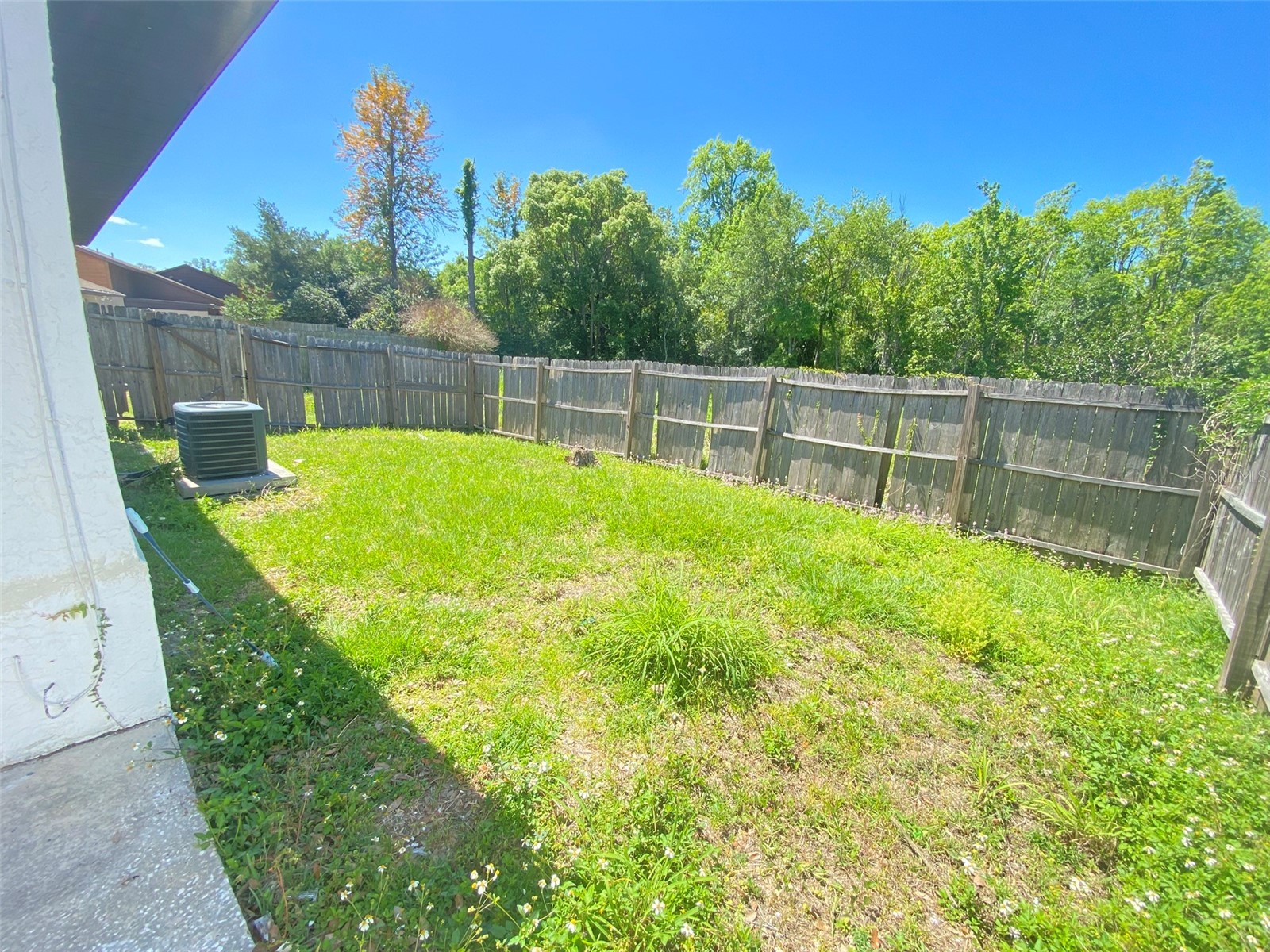 135 Sand Pine Circle Sanford FL 32773 O6399705 image21