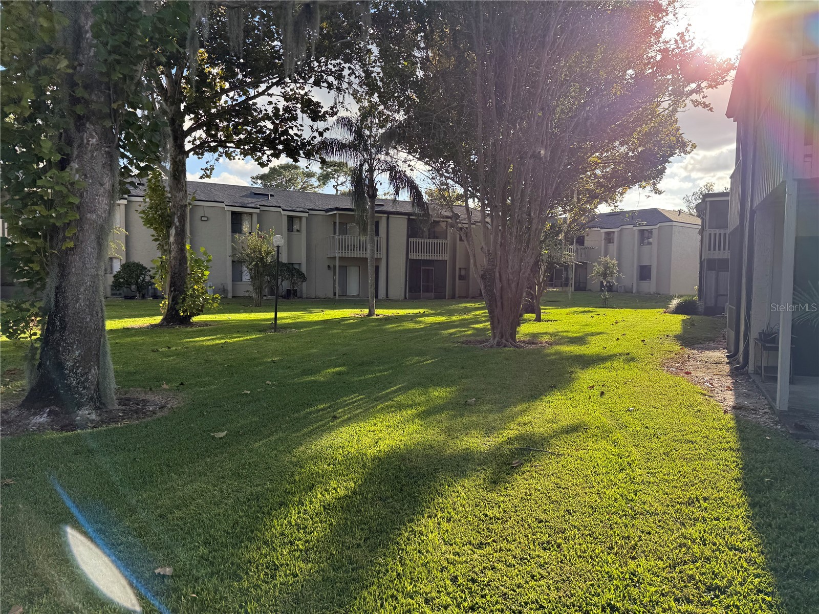 135 Springwood Circle #E Longwood FL 32750 O6400969 image3