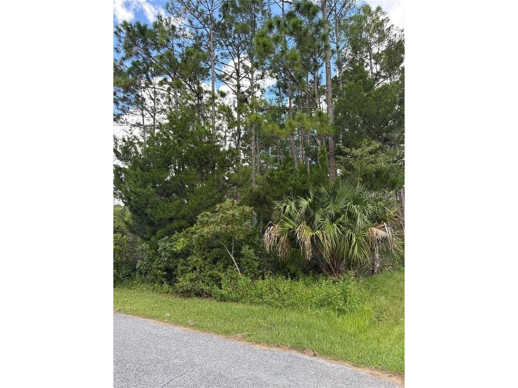 135 Ullian Trail Palm Coast FL 32164 FC313013 image2