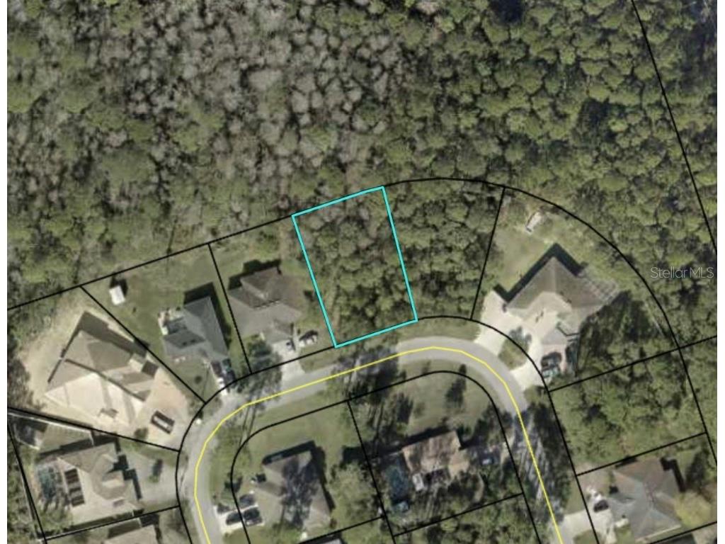 135 Ullian Trail Palm Coast FL 32164 FC313013 image3