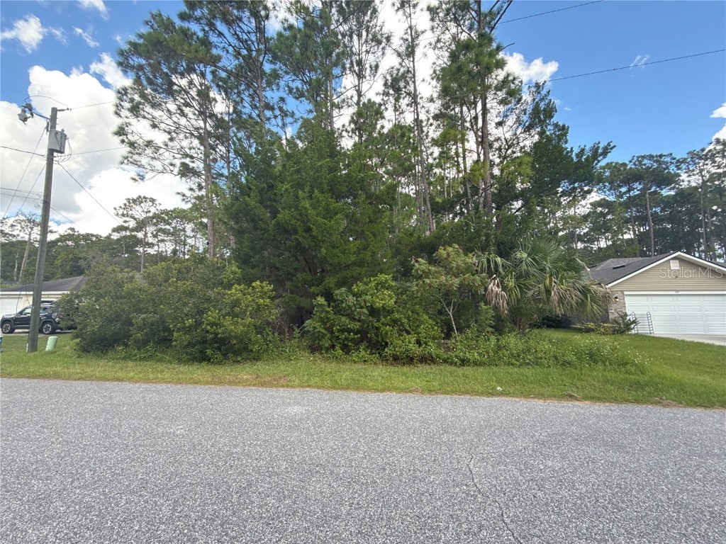 135 Ullian Trail Palm Coast FL 32164 FC313013 image4