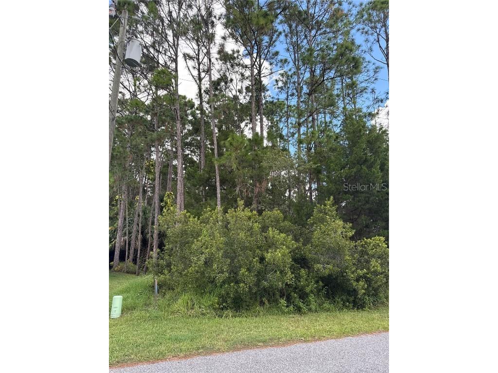 135 Ullian Trail Palm Coast FL 32164 FC313013 image5