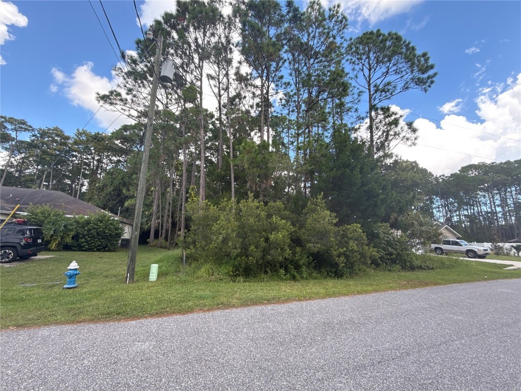 135 Ullian Trail Palm Coast FL 32164 FC313013 image6