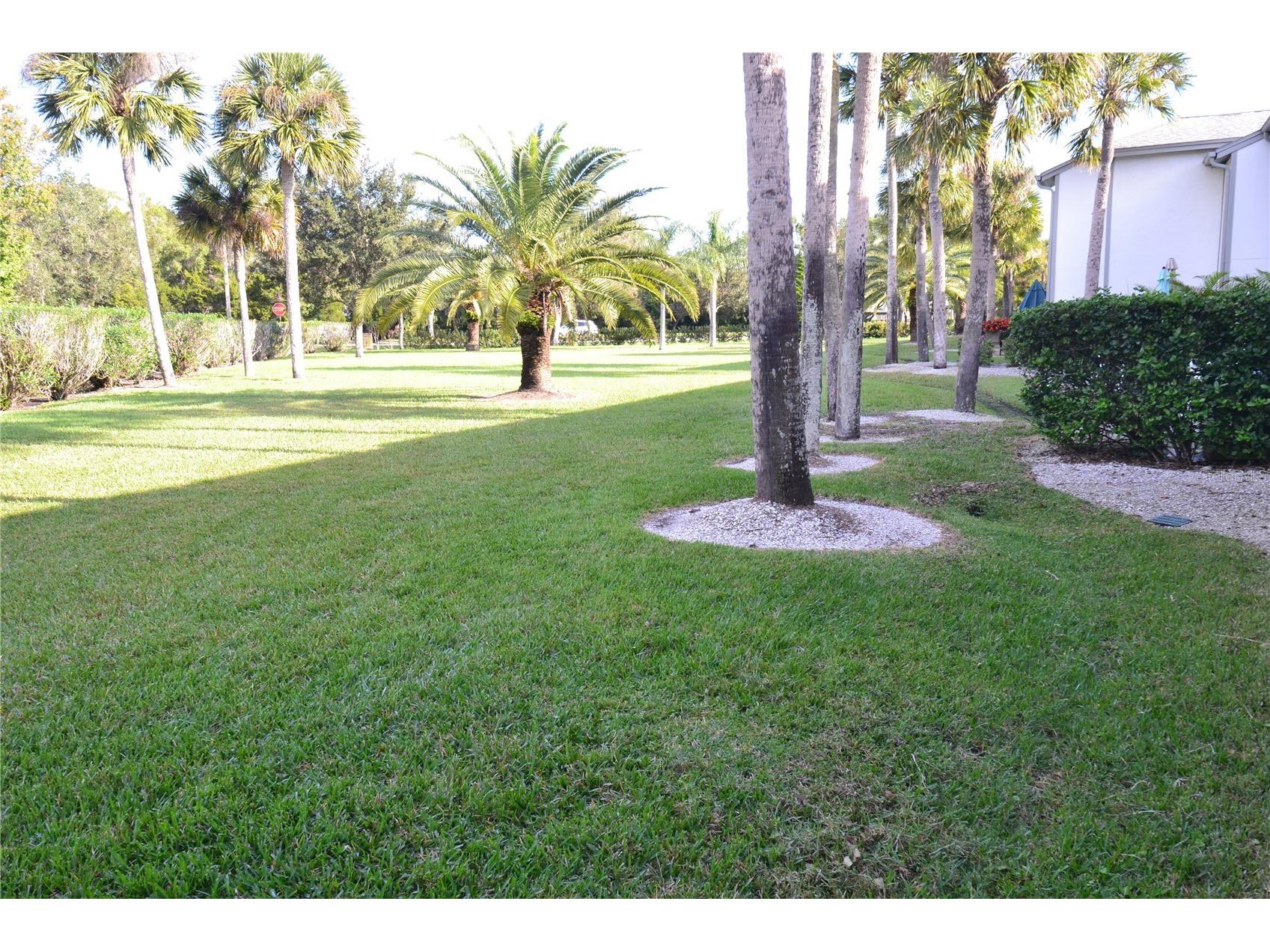135 W Cypress Court Oldsmar FL 34677 TB8471216 image21