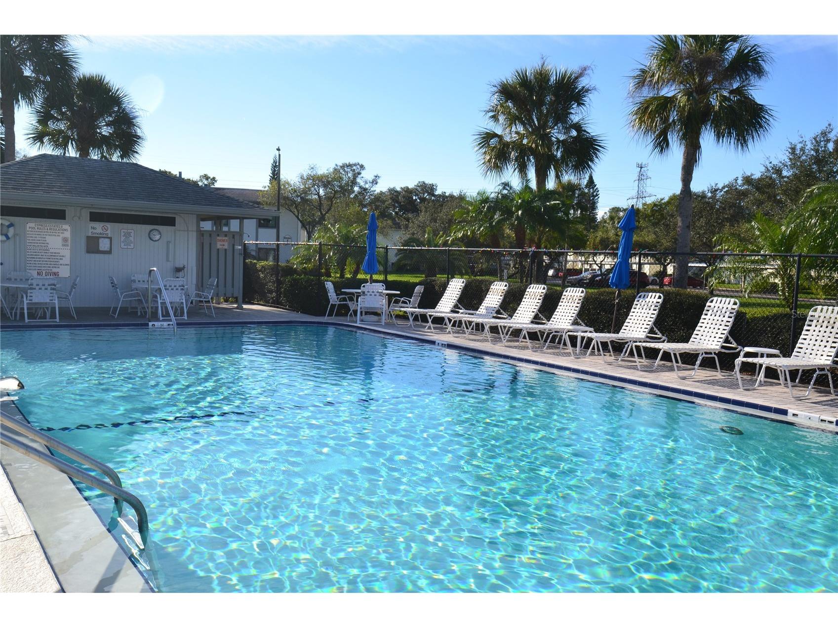 135 W Cypress Court Oldsmar FL 34677 TB8471216 image24