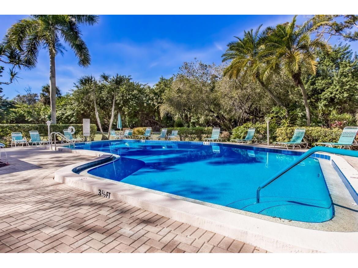 135 Wild Palm Drive Bradenton FL 34210 A4691575 image31