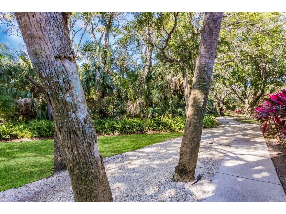 135 Wild Palm Drive Bradenton FL 34210 A4691575 image33