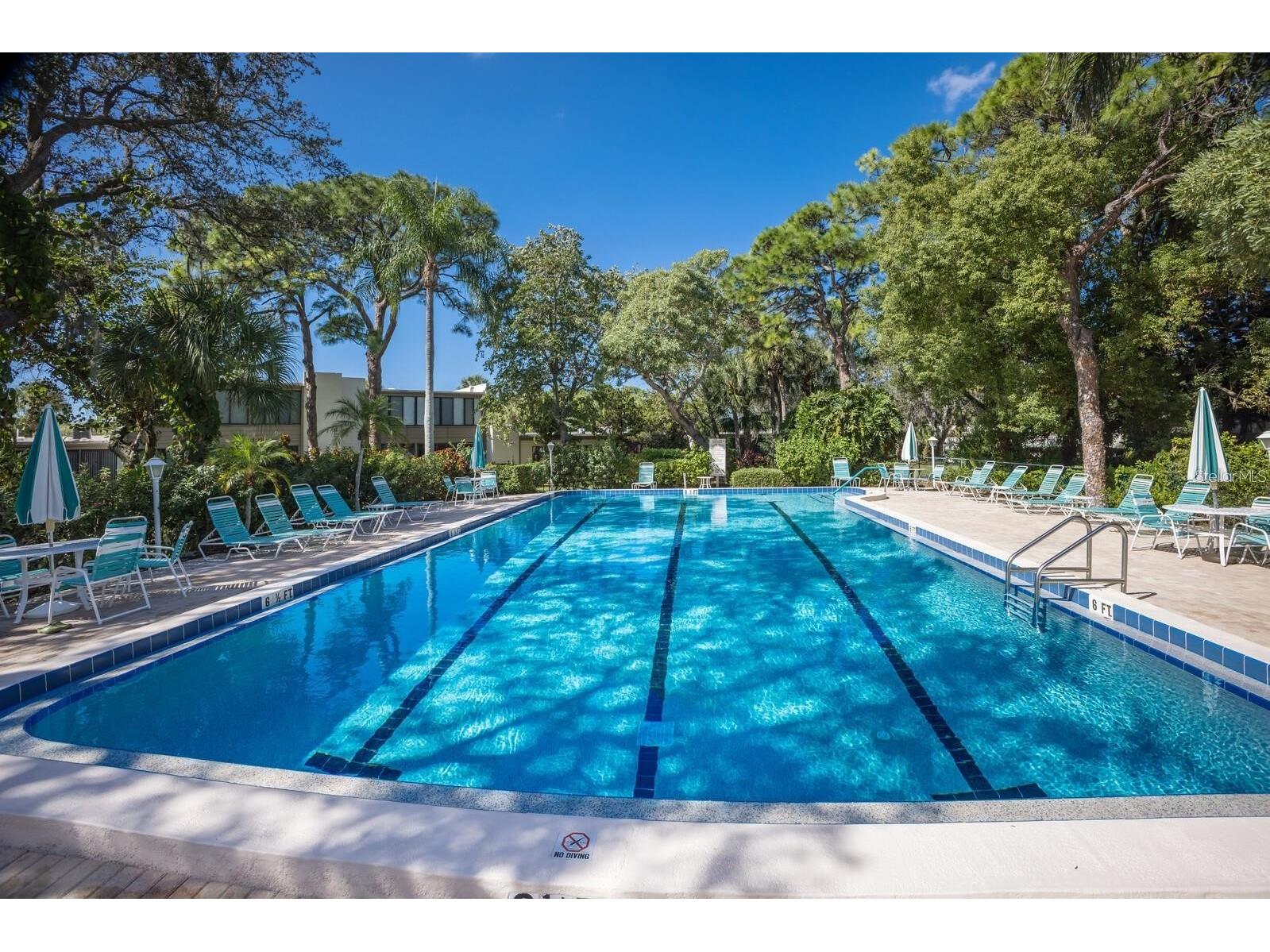 135 Wild Palm Drive Bradenton FL 34210 A4691575 image36