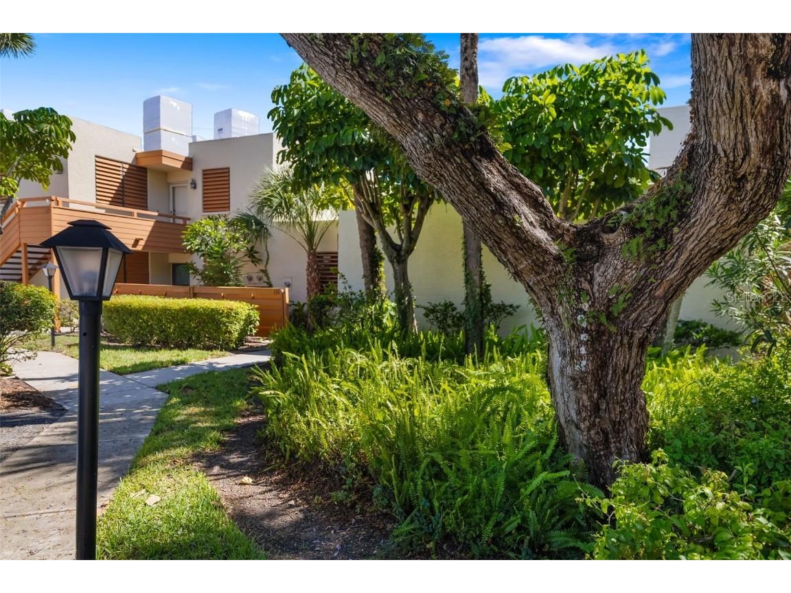 135 Wild Palm Drive Bradenton FL 34210 L4954841 image36