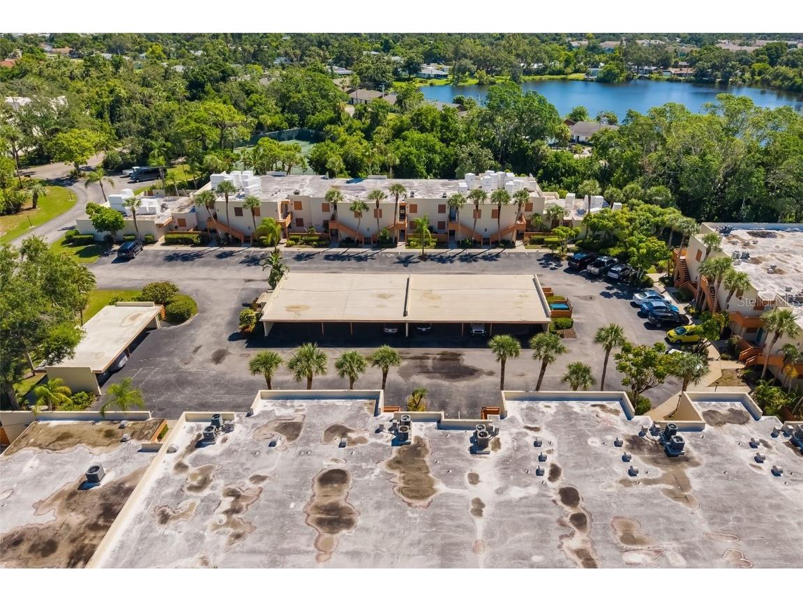 135 Wild Palm Drive Bradenton FL 34210 L4954841 image55