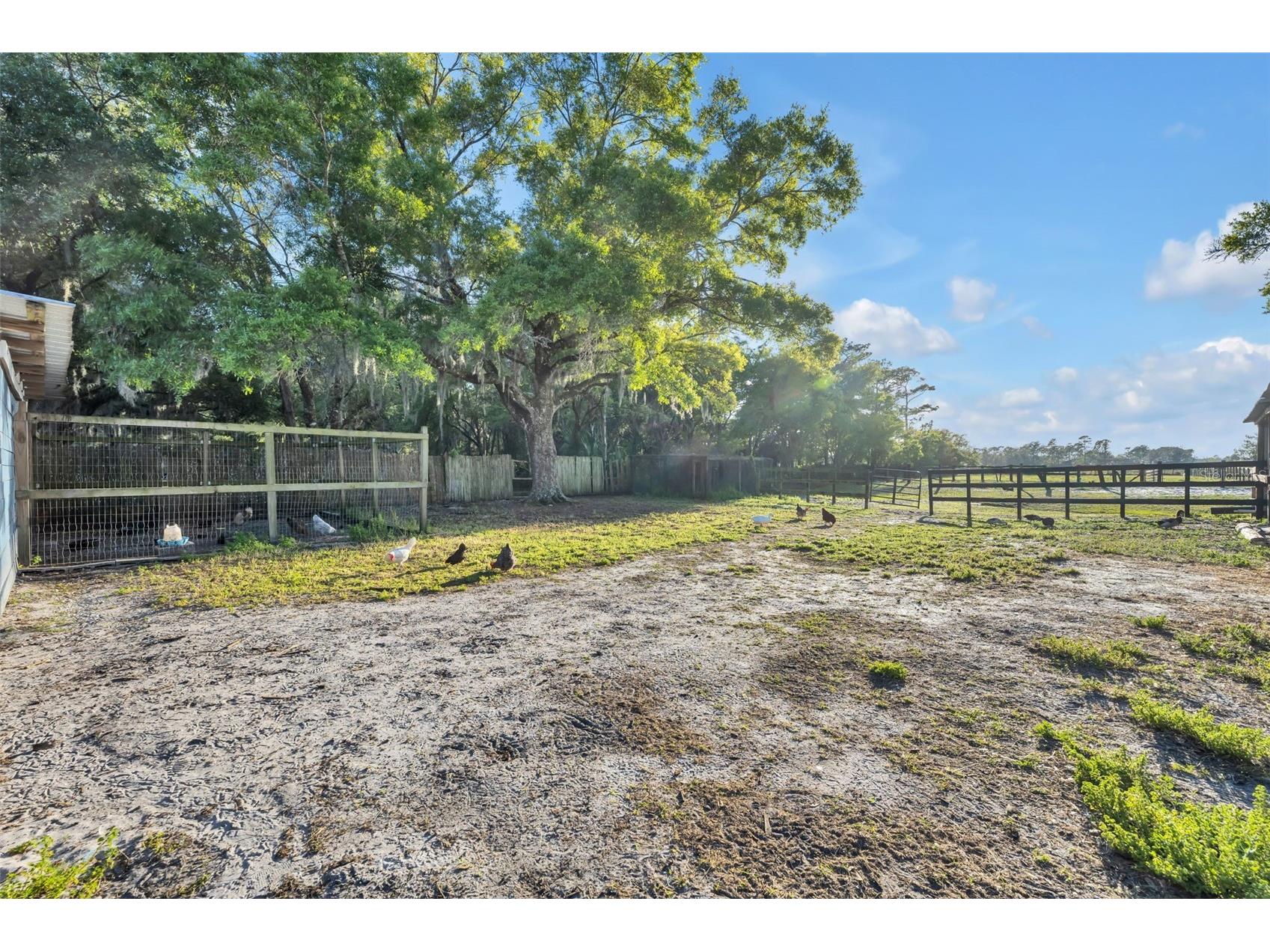 1350 Arapaho Trail Geneva FL 32732 O6393346 image34