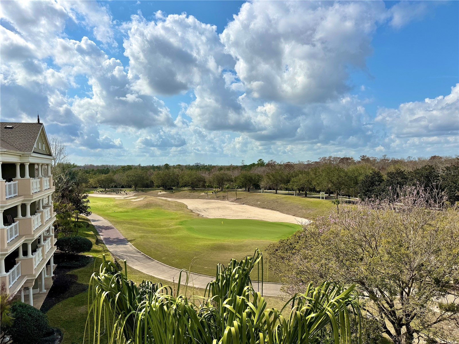 1350 Centre Court Ridge Drive #401 Reunion FL 34747 S5120023 image29