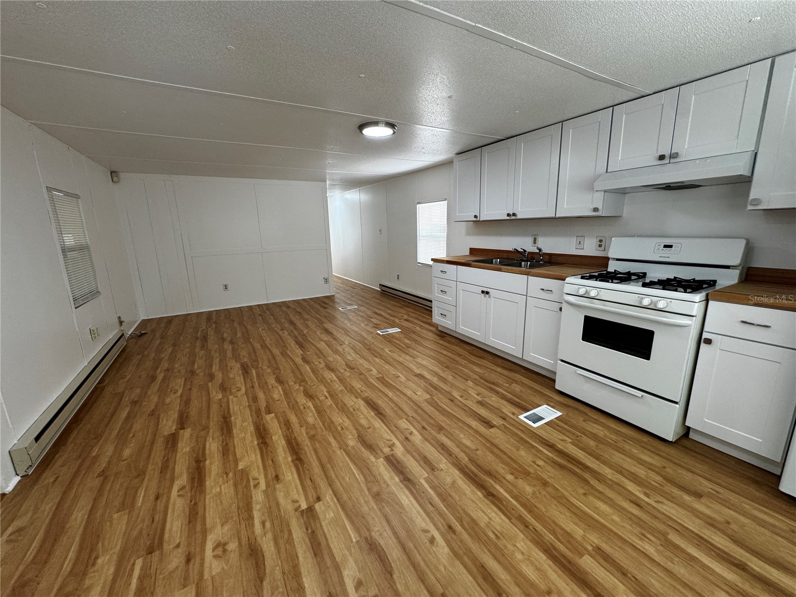 1350 County Drive Tavares FL 32778 G5110606 image6
