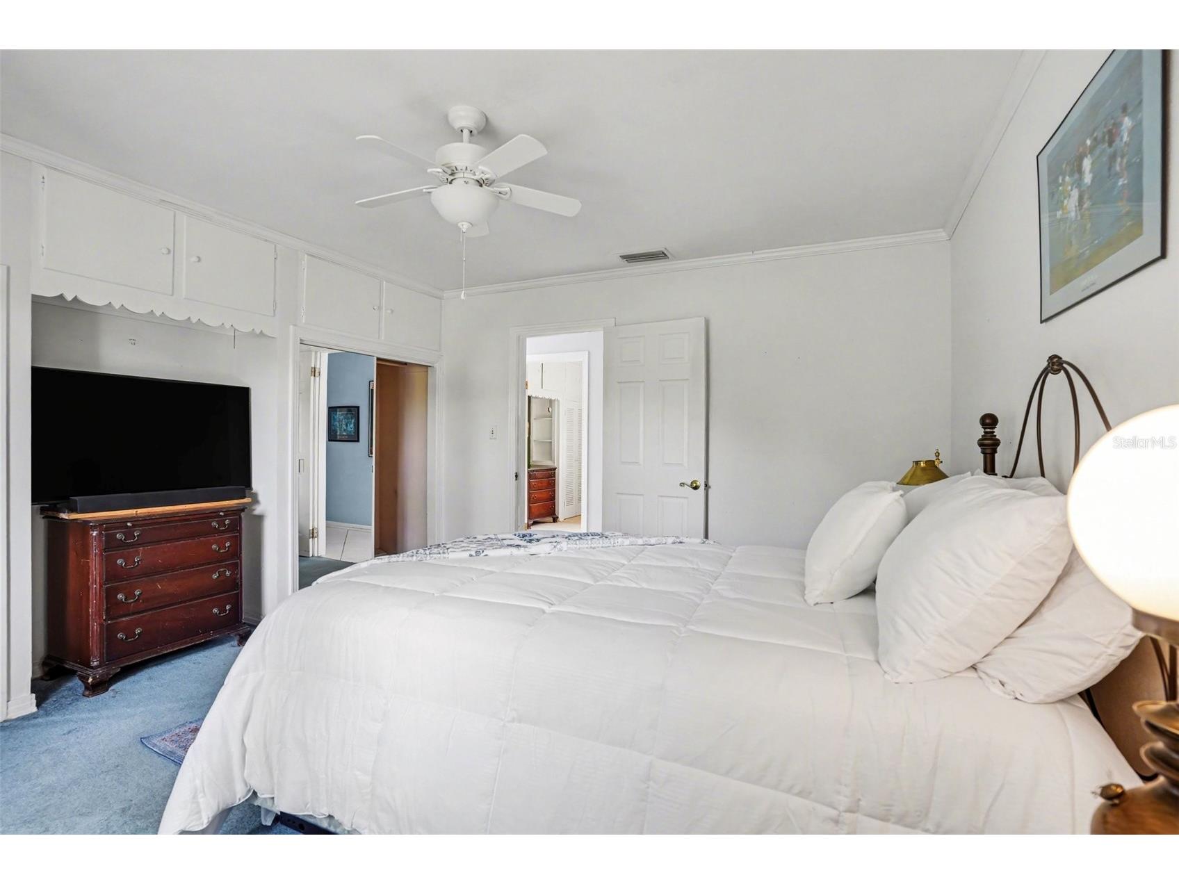 1350 Eckles Drive Tampa FL 33612 - LAKE ECKLES TB8491587 image17