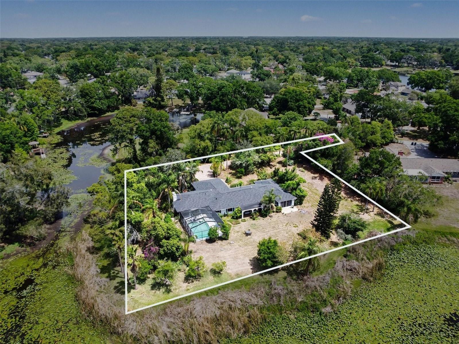1350 Eckles Drive Tampa FL 33612 - LAKE ECKLES TB8491587 image29