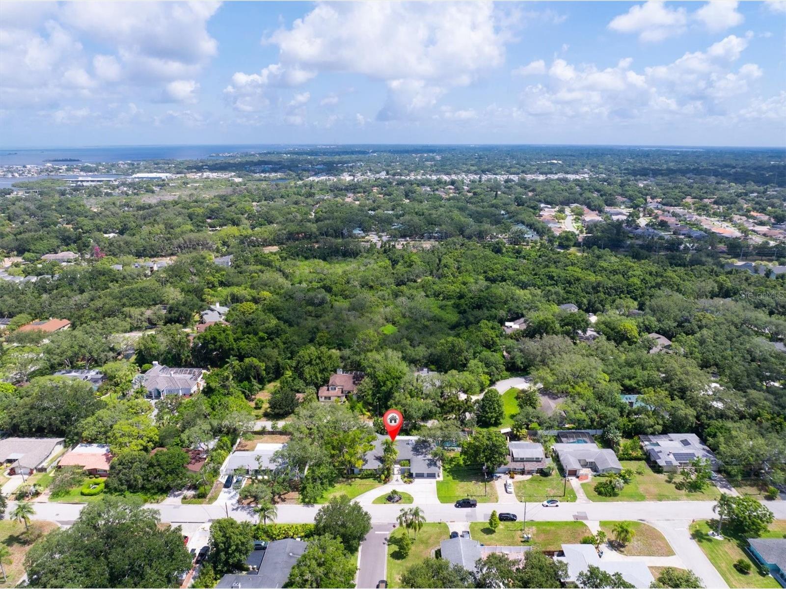 1350 Fairway Drive Dunedin FL 34698 W7886380 image58