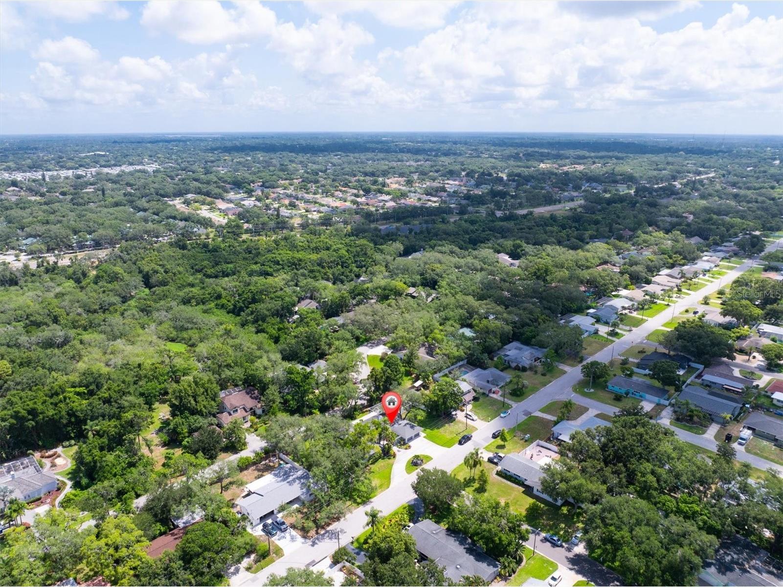 1350 Fairway Drive Dunedin FL 34698 W7886380 image62