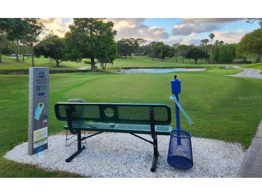 1350 Glengarry Drive Palm Harbor FL 34684 TB8456351 image15