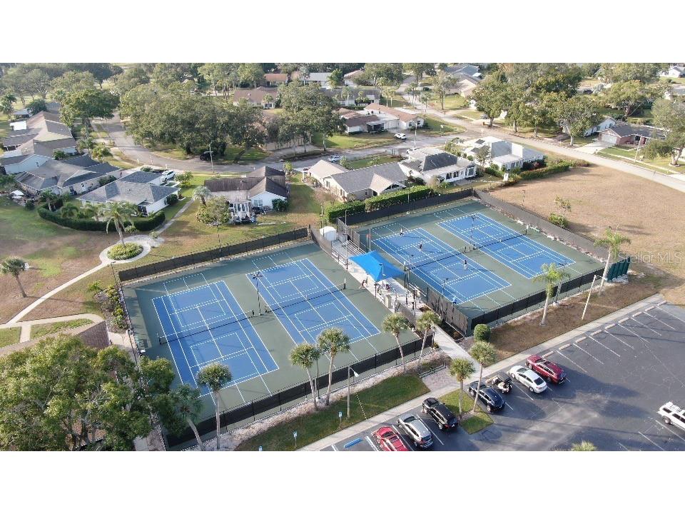 1350 Glengarry Drive Palm Harbor FL 34684 TB8456351 image18