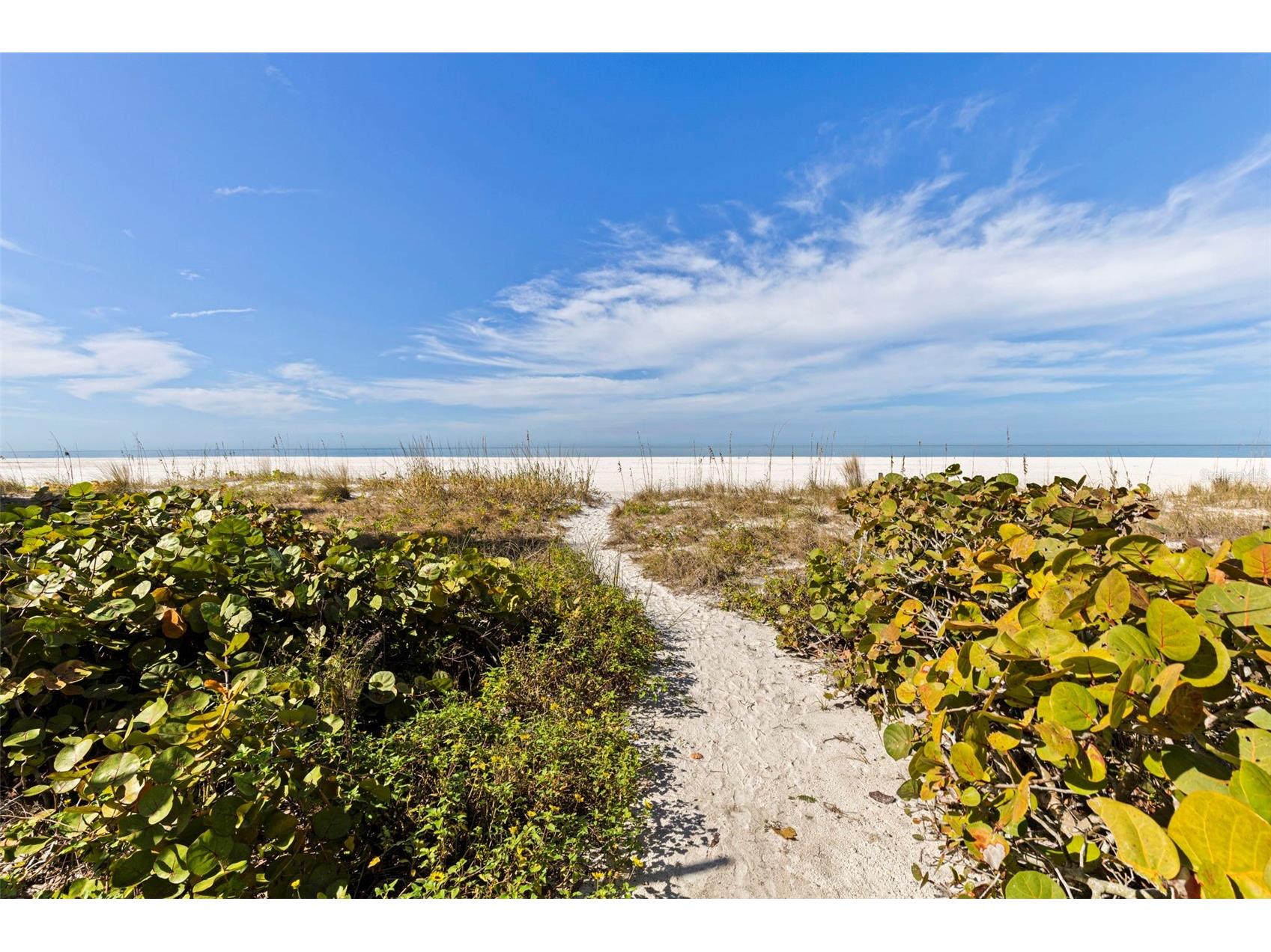 1350 Gulf Boulevard #704 Clearwater Beach FL 33767 - GULF OF AMERICA TB8469596 image33
