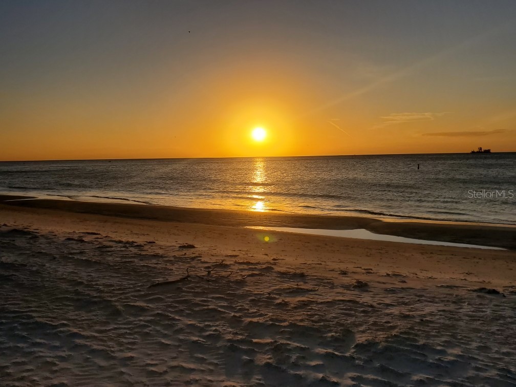 1350 Gulf Boulevard #202 Clearwater FL 33767 TB8356338 image35