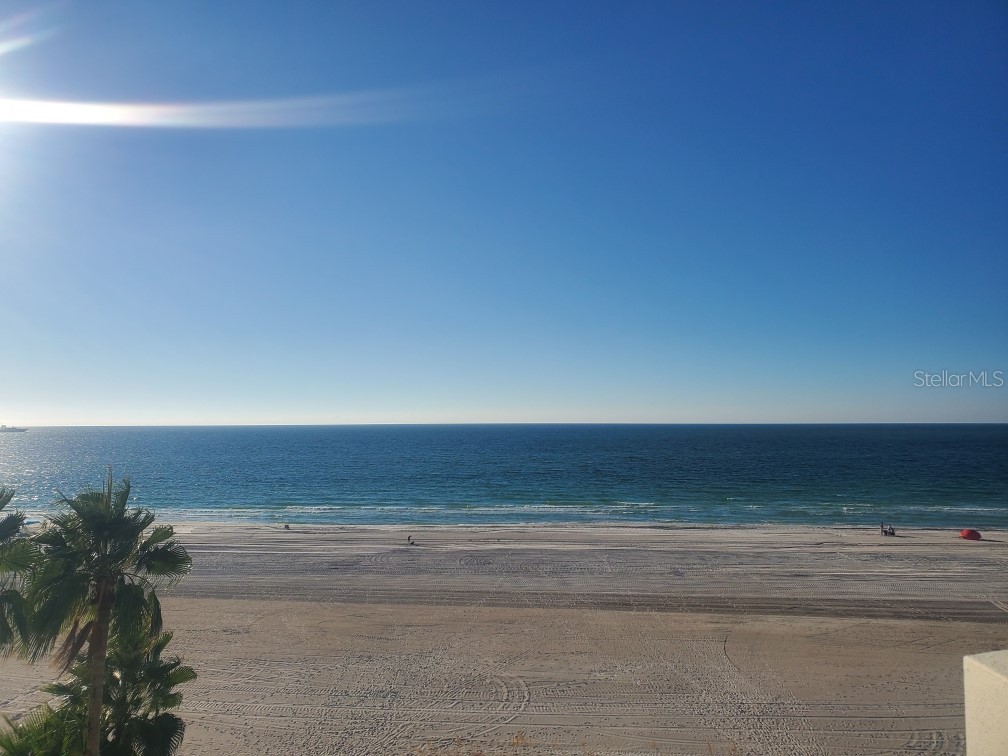 1350 Gulf Boulevard #202 Clearwater FL 33767 TB8356338 image4