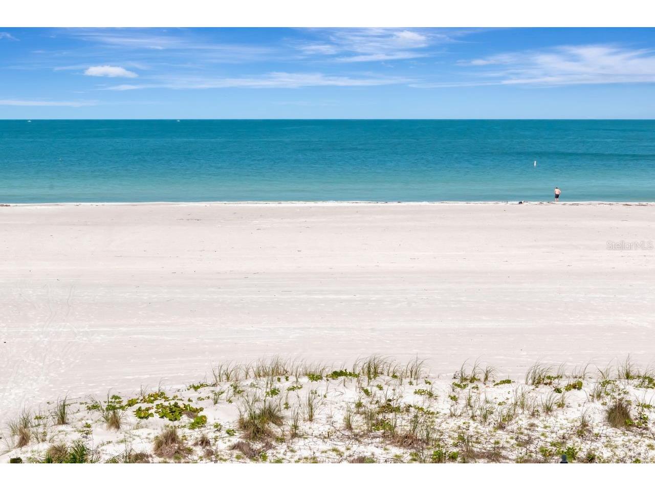 1350 Gulf Boulevard #301 Clearwater Beach FL 33767 TB8365763 image40