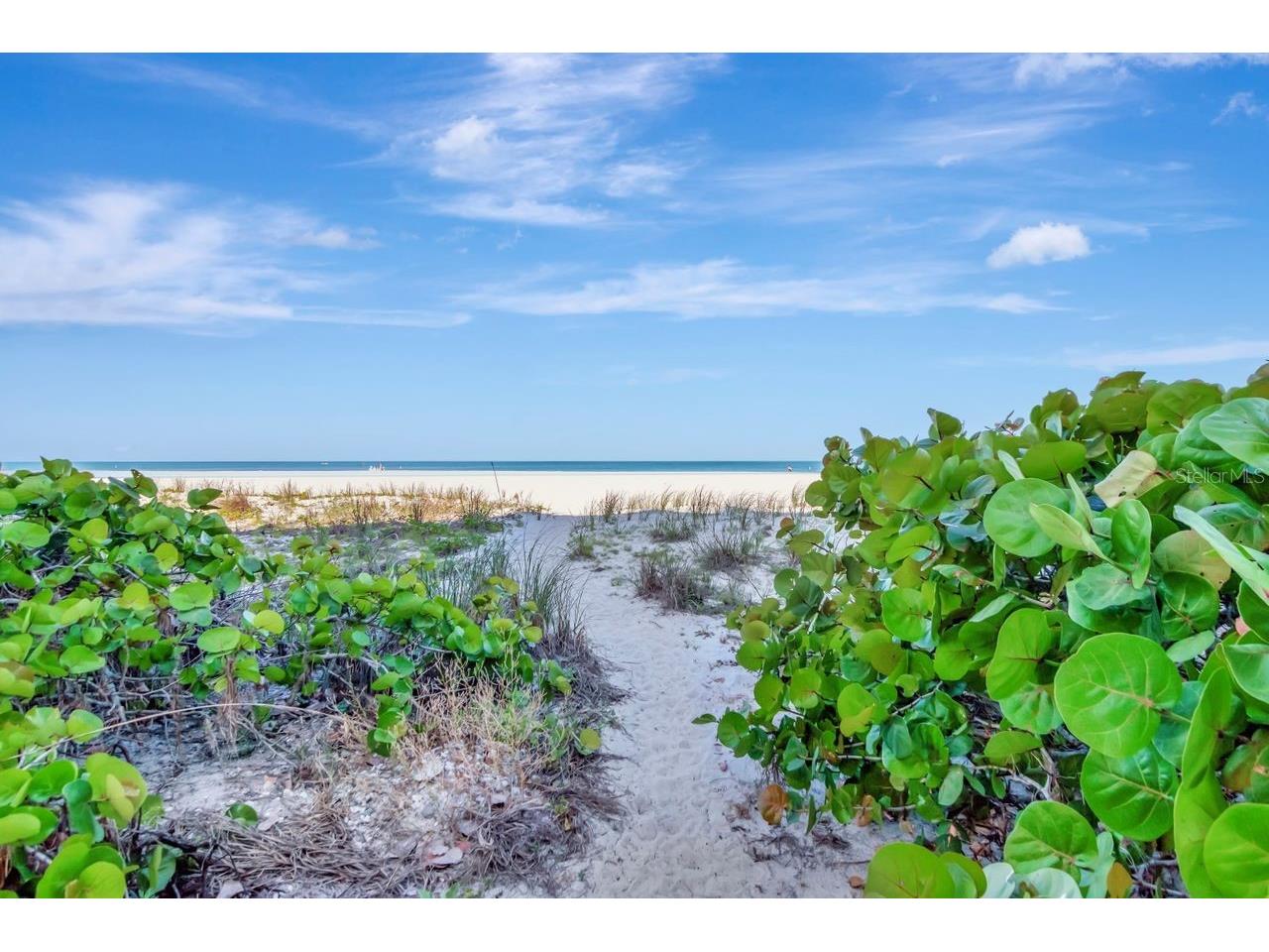 1350 Gulf Boulevard #301 Clearwater Beach FL 33767 TB8365763 image71