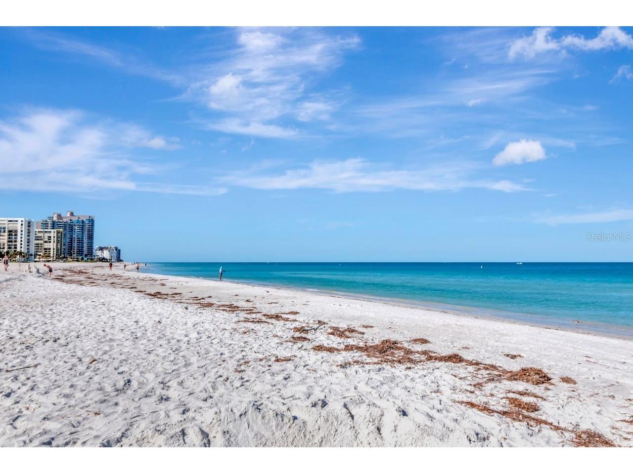 1350 Gulf Boulevard #301 Clearwater Beach FL 33767 TB8365763 image75