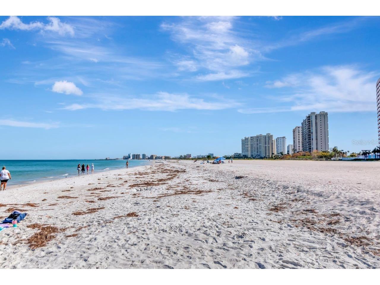 1350 Gulf Boulevard #301 Clearwater Beach FL 33767 TB8365763 image76